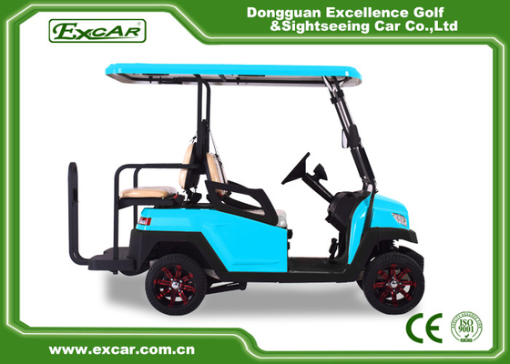 New Design 2 Seaters Electric Hunting Golf Car Color Optional  with Lithium Battery