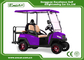 New Design 2 Seaters Electric Hunting Golf Car Color Optional  with Lithium Battery