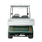 Green Color Golf Buggy with Aluminum Cargo Box Chinese Manufacturer Whosale Price