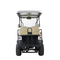 lifted Electric Golf Car Off Road Hunting Car with Lithium Battery & Curtis Controller Flip Flap Seat