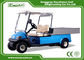 48V 3.7KW 2 Seater Electric Golf Carts Taly Axle / Hotel Buggy Car