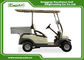 2 Seater AC Motor Electric Golf Car 48v Trojan Battery , Electric Hotel Buggy Car
