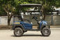 Four Wheels 2 Passengers Electric Golf Buggy 48V Battery Powered