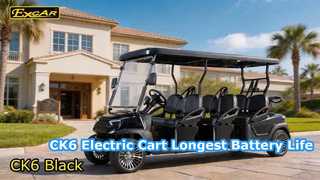 Czarne elektryczne wózki golfowe CK6
