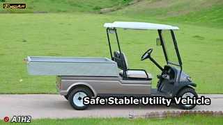 A1H2 Champagne Gold Ten elektryczny, wielofunkcyjny pojazd użytkowy zapewnia bezpieczeństwo i stabilność przez długi czas