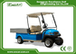 3.7KW Blue Buggy Car for Hotel Farm With 48V Lithium Battery
