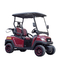 Popullar Model Red Electric Golf Car 2 Seaters with CE Certification Wholesale Price