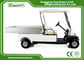 Trojan Battery Powered Electric Utility Carts 2 Seater Golf Cart Utility