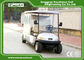 2 Person Hotel Buggy Car 3.7KW 48V Trojan Batteries Golf Cart Buggy
