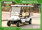 EXCAR White 2 Seats Hotel Buggy Car Electric Utility Golf Carts With Cargo for Transportation