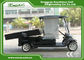 2 Passenger Black Color Golf Food Cart 3.7KW Acim Motor DC System